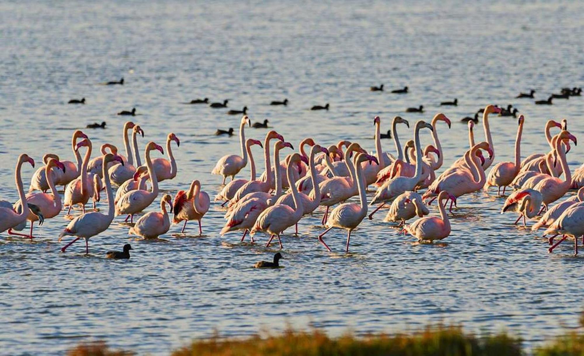 Llevant - Adosado En L'Ampolla Con Acceso Directo Al Mar - Deltavacaciones Exterior foto